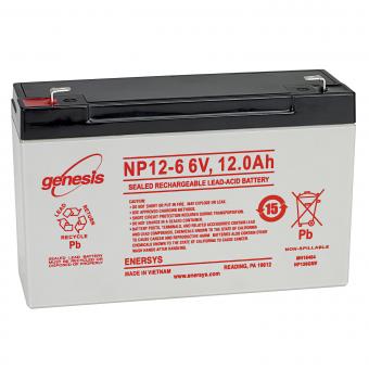 Lead Acid Battery 6V/12Ah 